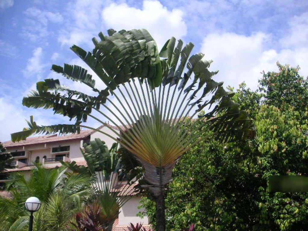 Grande Vista (D28), Condominium #106613002